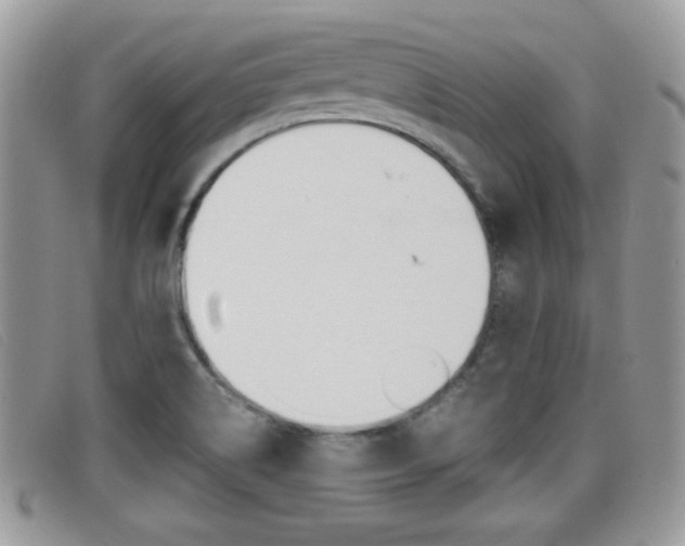 X0000099431514200805090716
