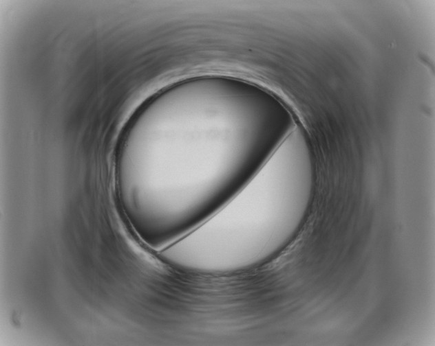 X0000099431515200805090716