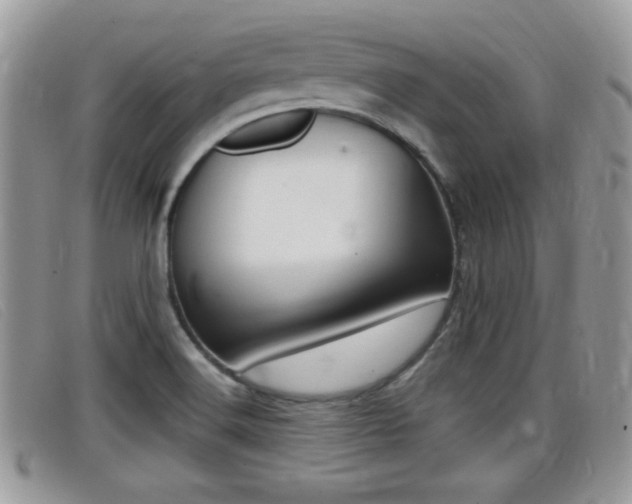 X0000099431516200805090716