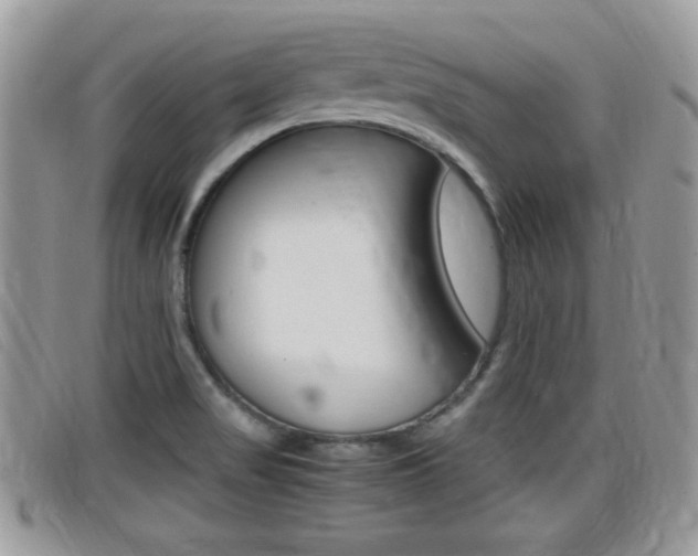 X0000099431517200805090716