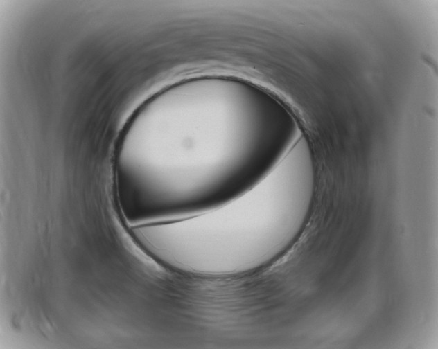 X0000099431518200805090716