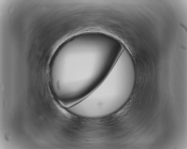 X0000099431519200805090716