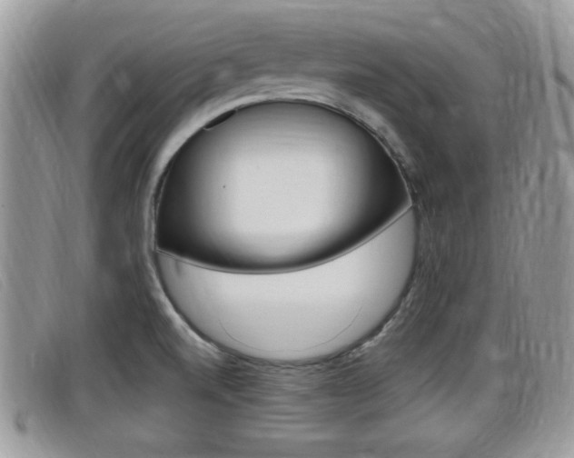 X0000099431520200805090716