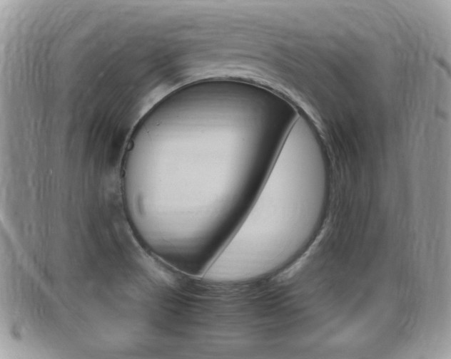 X0000099431521200805090716