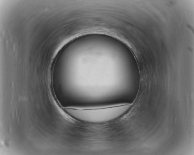 X0000099431523200805090716