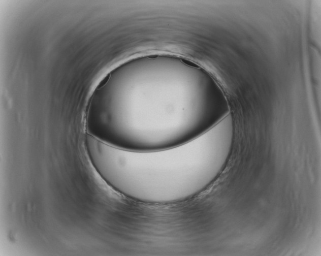 X0000099431524200805090716