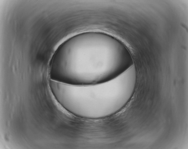 X0000099431526200805090716