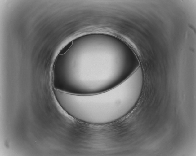 X0000099431528200805090716