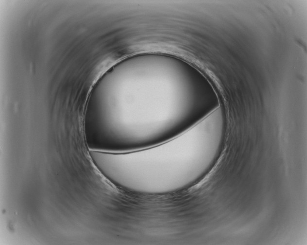 X0000099431529200805090716