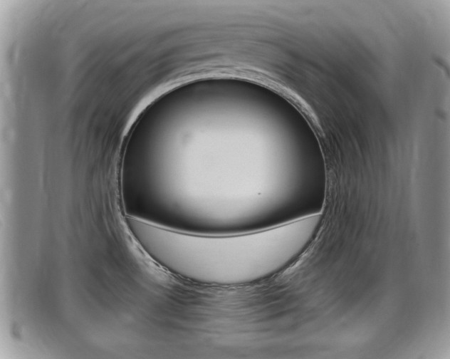 X0000099431530200805090716