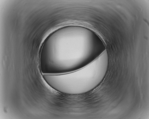 X0000099431531200805090716