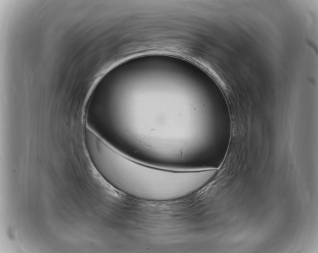 X0000099431532200805090716
