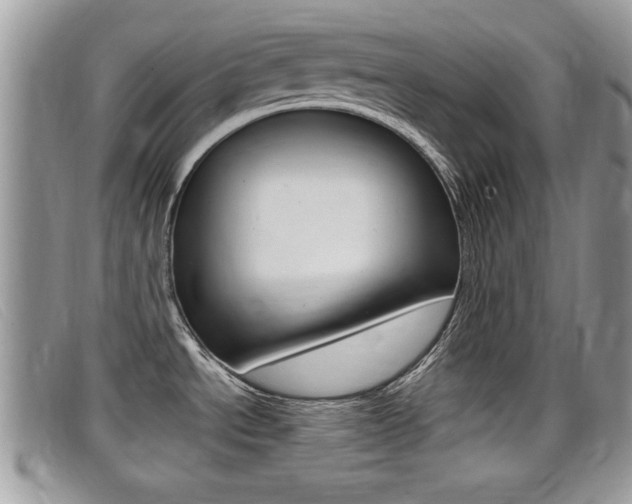 X0000099431534200805090716