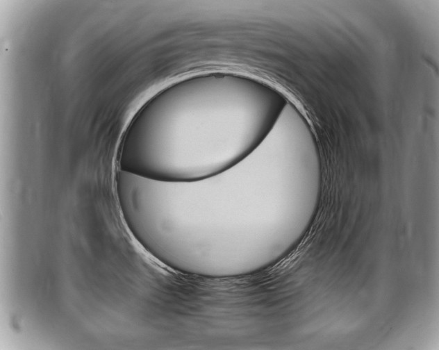 X0000099431535200805090716