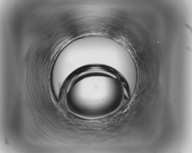 X0000099430001200805091300
