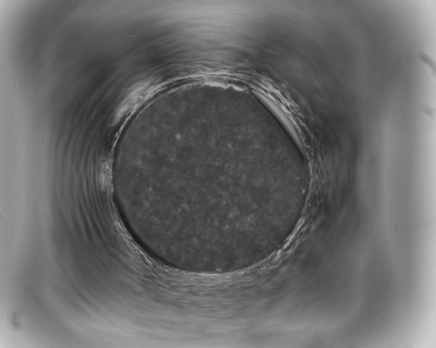 X0000099430002200805091300