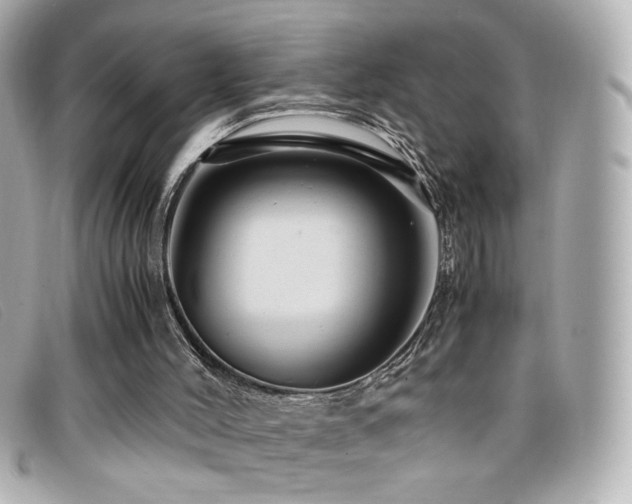 X0000099430004200805091300