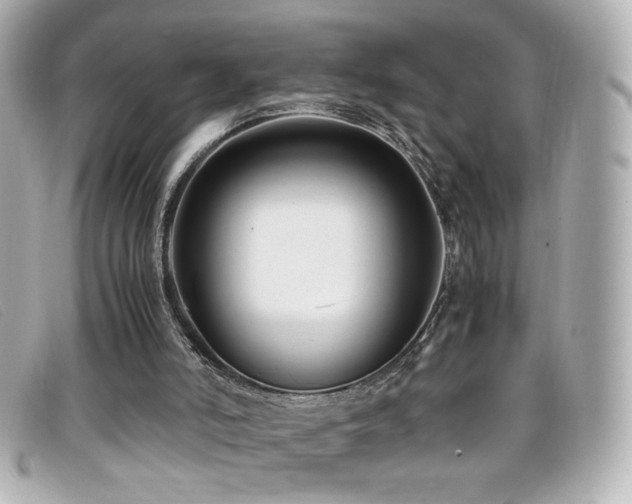 X0000099430006200805091300