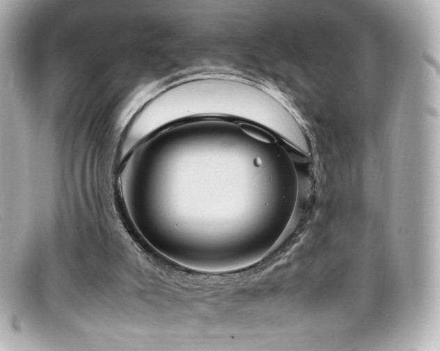 X0000099430007200805091300