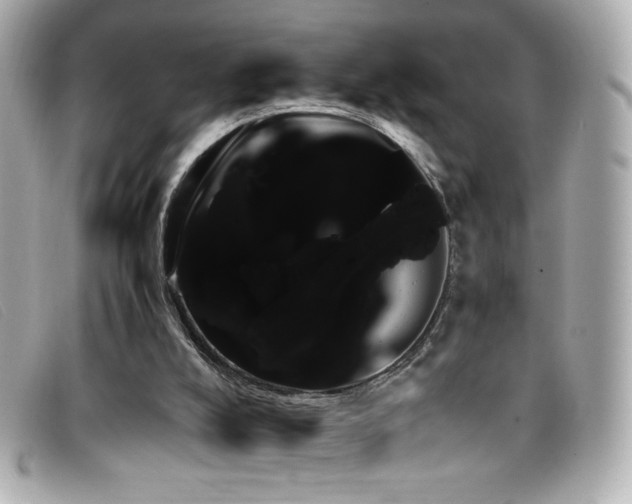 X0000099430008200805091300