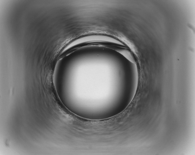 X0000099430009200805091300