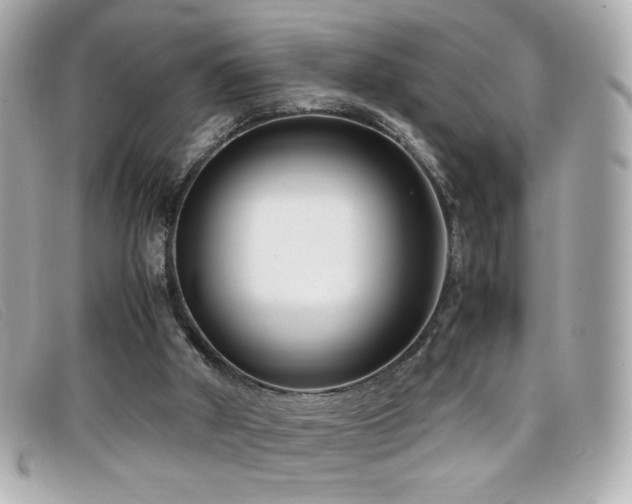X0000099430010200805091300