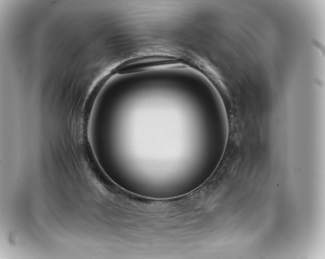 X0000099430012200805091300