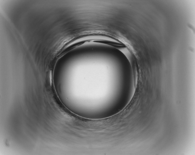 X0000099430013200805091300
