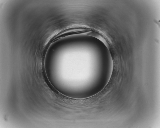 X0000099430015200805091300