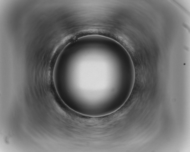 X0000099430016200805091300
