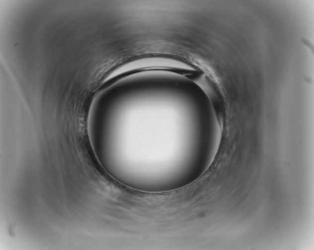X0000099430017200805091300