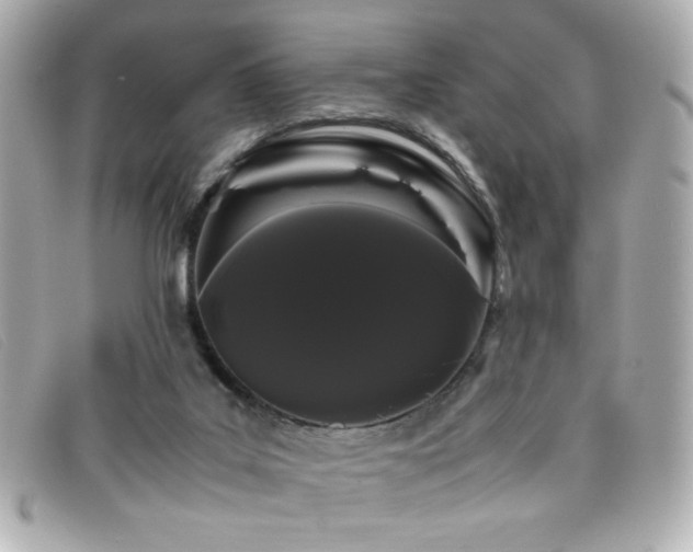 X0000099430019200805091300