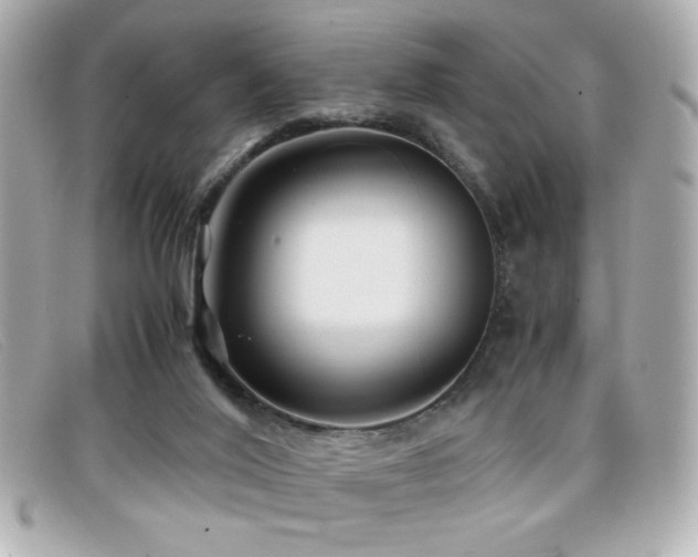 X0000099430020200805091300