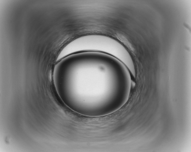 X0000099430021200805091300