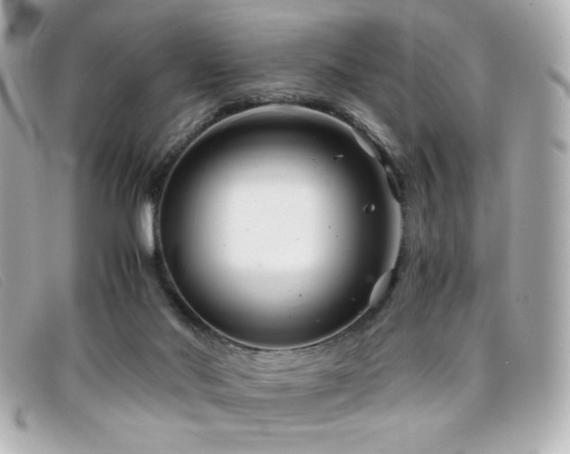 X0000099430022200805091300