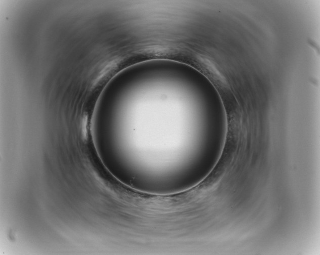 X0000099430024200805091300