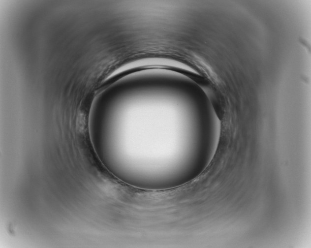 X0000099430025200805091300