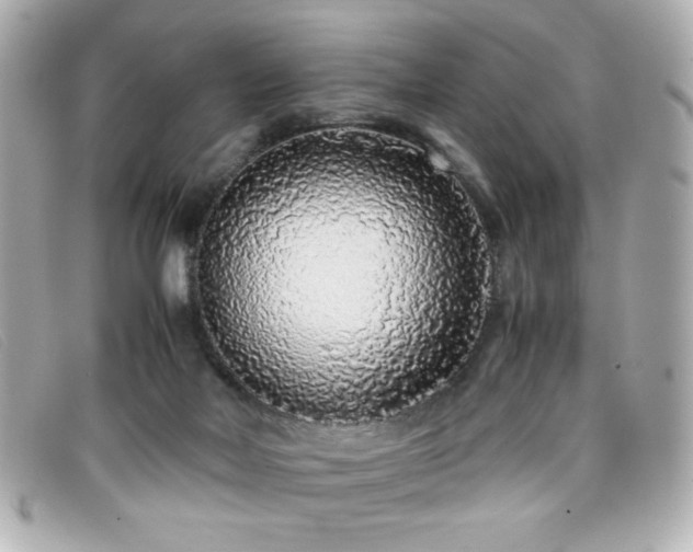X0000099430026200805091300