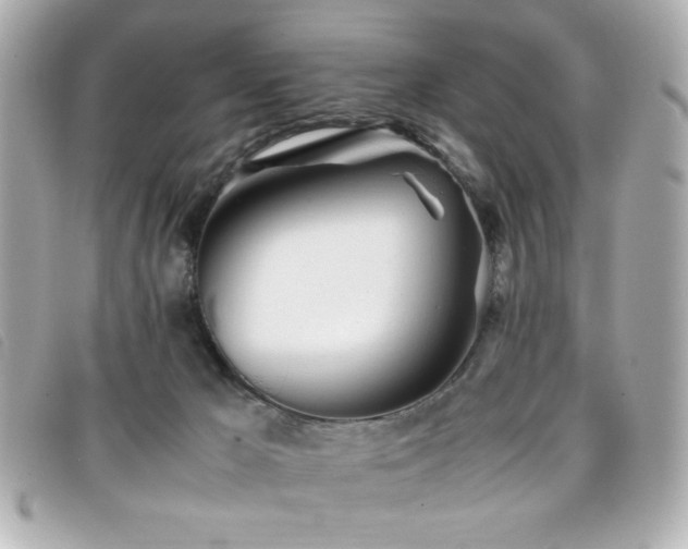 X0000099430029200805091300