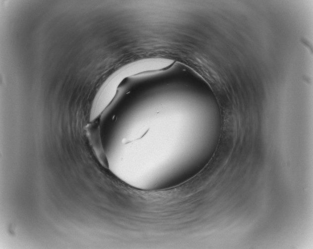 X0000099430030200805091300