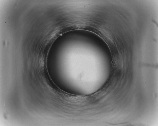 X0000099430032200805091300