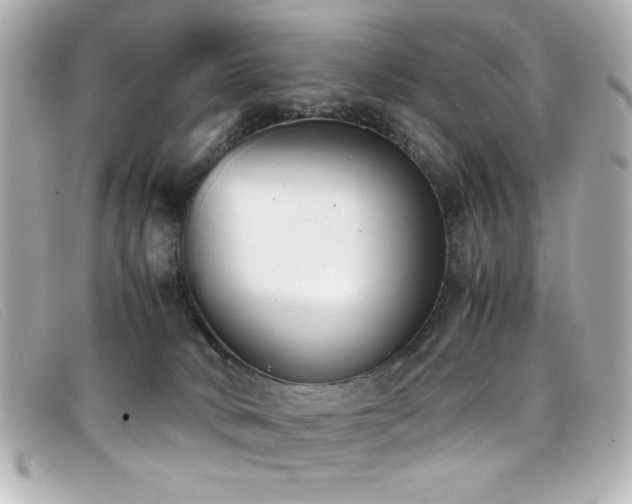 X0000099430034200805091300