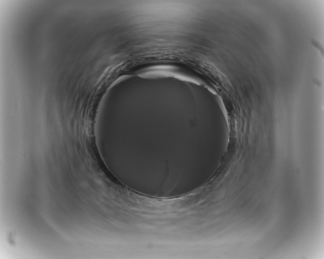 X0000099430035200805091300