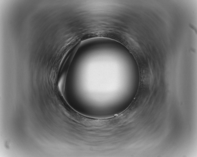 X0000099430036200805091300