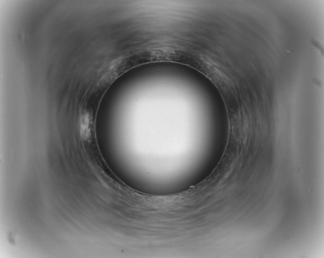 X0000099430038200805091300