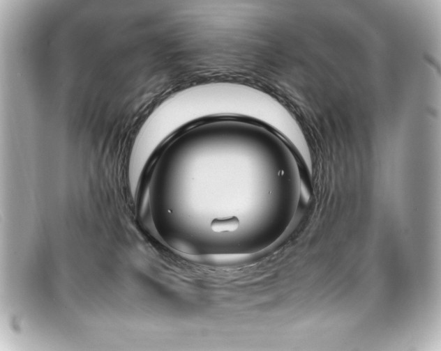 X0000099430039200805091300