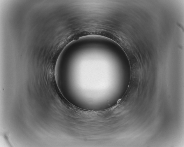 X0000099430040200805091300