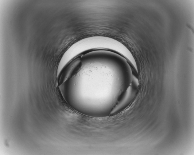 X0000099430041200805091300