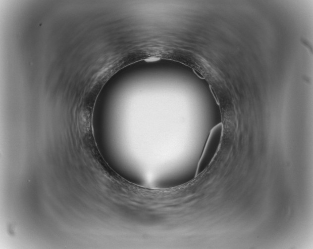 X0000099430043200805091300