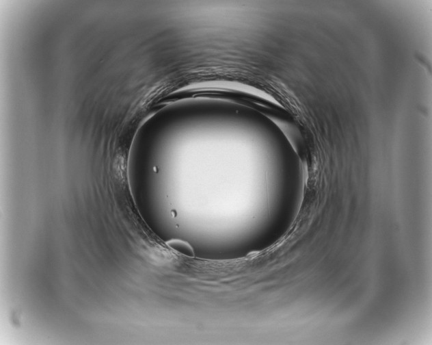 X0000099430045200805091259